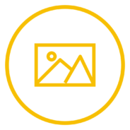 3D Visualization & Rendering